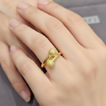 Çıtır yüzük - Görsel 2