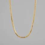 İTALYAN BALIK SIRTI ZİNCİR